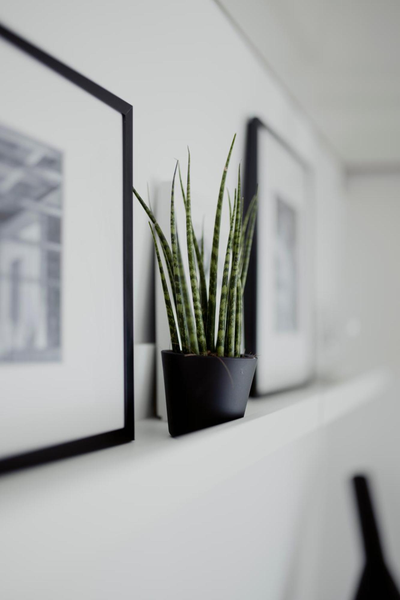Apartamento Photographer's House